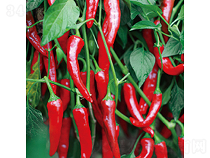 �н�H2-�����N��-���߷N�I(y��)