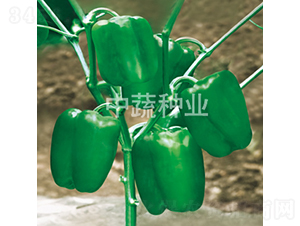 �н�7̖(h��o)-�𽷷N��-���߷N�I(y��)