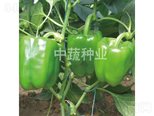 �н�105-�𽷷N��-���߷N�I(y��)