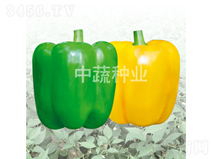 �н�08-08̖(h��o)-�𽷷N��-���߷N�I(y��)