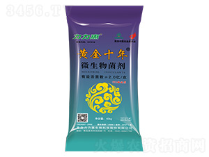 552��ʩ��΢�������-�S��ʮ��