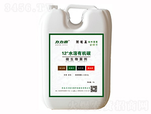 ΢�������-12��ˮ���ЙC(j��)̼