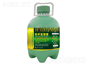 �F�U������-�����S-���Π�