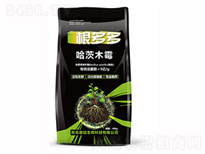 ��������ľù-�h��