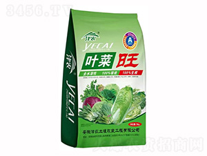 葉菜旺-津農(nóng)