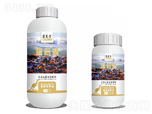 ������Һ-����ʢ-��ܽ��