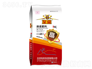 ��ጓ������26-10-8-����-������