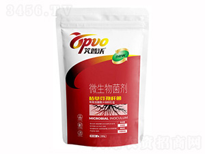 枯草芽孢桿菌-業(yè)農(nóng)
