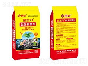 5�|�w��΢�������-������-��������