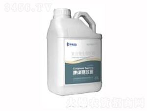 ��(f��)��΢�������-��(f��)�Ͼ�-��������