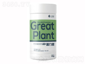 ������-��������