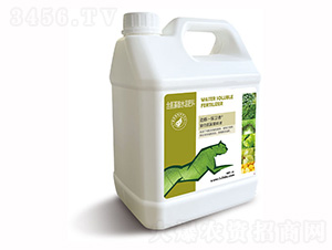 ��(f��)�ϰ������׻���Һ-���}���l(w��i)��-�G���_(d��)