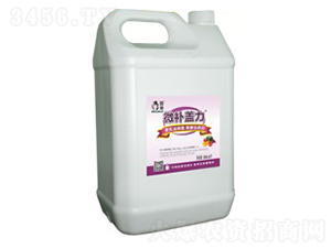 微補(bǔ)蓋力-微補(bǔ)