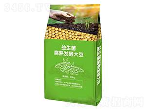 ����������l(f��)�ʹ�-�����