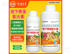 ���¸��o�����-�����r(n��ng)�I(y��)