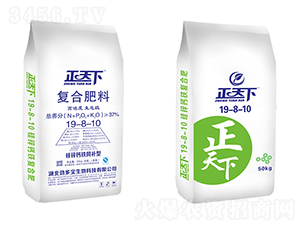 �����¹��\�}�Fͬ�a�͏ͺϷ���19-8-10-�Ŷ���