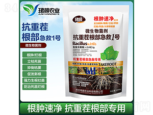 ���ز��������1̖-�B��r(n��ng)�I(y��)