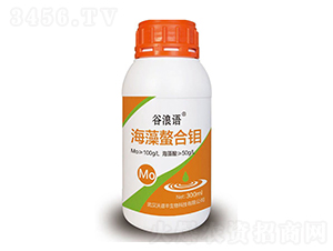 ���������f-�����Z-���V�S����