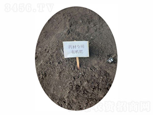 ˎ�Č����ЙC(j��)��-�r(n��ng)��ʘI(y��)