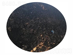 ţ�S�ЙC(j��)��-�r(n��ng)��ʘI(y��)