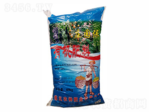 �ЙC(j��)����-�f��(gu��)��-�r(n��ng)��ʘI(y��)