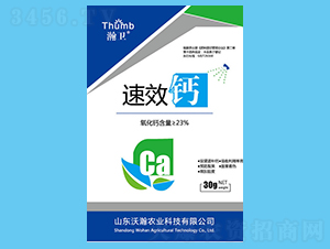 �}��-��l(w��i)-����r(n��ng)�I(y��)