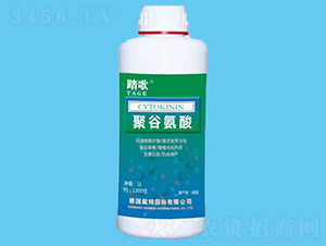 �۹Ȱ���-̤��-����r(n��ng)�I(y��)