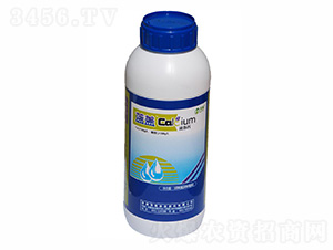 �ЙC(j��)�}��-�{(l��n)�w-ïʩ�r(n��ng)�I(y��) 