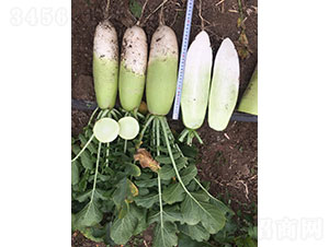 �����}���N��-�A���r�I(y��)