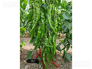 �A�]һ̖(h��o)��2001���⽷�N��-�A���r(n��ng)�I(y��)