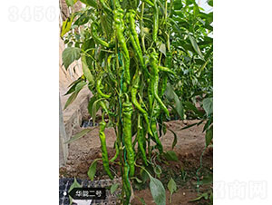 �A�]��̖(h��o)��2179���⽷�N��-�A���r(n��ng)�I(y��)