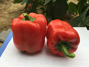 �t�G��2191���ʽ��N��-�A���r(n��ng)�I(y��)