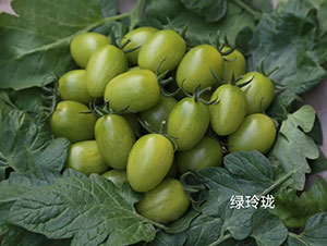 �G�ᭇ���ҷ��ѷN��-�A���r(n��ng)�I(y��)