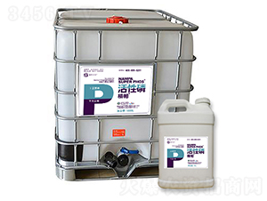 �����������-����