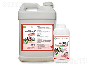 楠帕花果護(hù)衛(wèi)-耕道