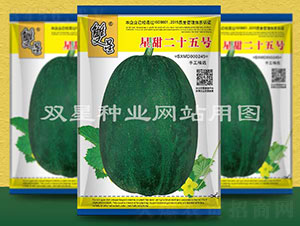 �����ʮ��̖(h��o)-��ϷN��-�p�ǷN�I(y��)