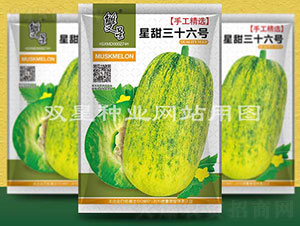 ������ʮ��̖(h��o)-��ϷN��-�p�ǷN�I(y��)