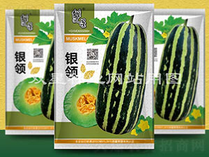 �y�I(l��ng)-��ϷN��-�p�ǷN�I(y��)