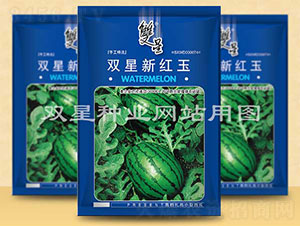 �p���¼t��-���ϷN��-�p�ǷN�I(y��)