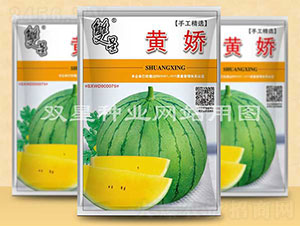 �S��-���ϷN��-�p�ǷN�I(y��)