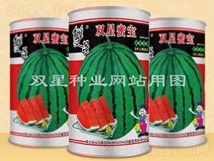 �p���ی�-���ϷN��-�p�ǷN�I(y��)