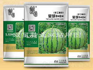 ����8424-���ϷN��-�p�ǷN�I(y��)