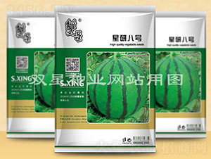 ���а�̖(h��o)-���ϷN��-�p�ǷN�I(y��)