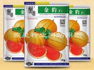 ��-���ϷN��-�p�ǷN�I(y��)