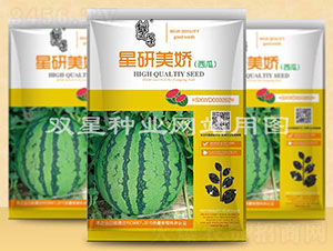 ��������-���ϷN��-�p�ǷN�I(y��)