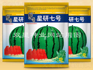 ������̖-���ϷN��-�p�ǷN�I(y��)