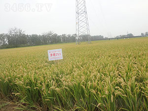 ��253-ˮ���N��-�Ǻ���(r��n)�r(n��ng)