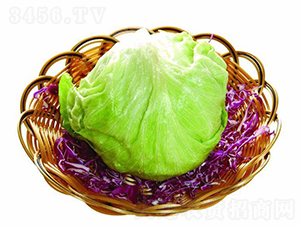 �A������-���˷N��-�A���N��