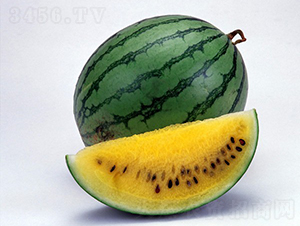 ������-���ϷN��-�A���N��