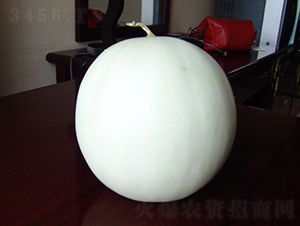 ����-��ϷN��-�A���N��